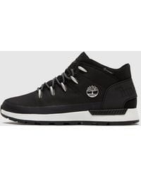 timberland sneakers