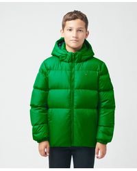Essential Down Puffer Jacket 