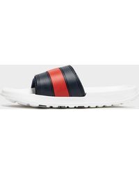 tommy hilfiger chappals