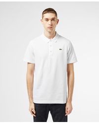 lacoste white alligator