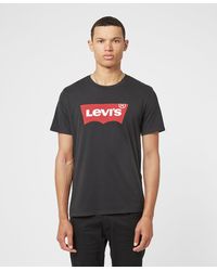 Levis t shirts under 500 Clearance