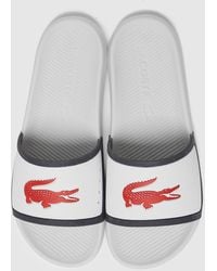 lacoste slippers mens