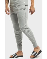 polo fleece pants