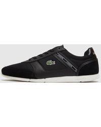 lacoste menerva sport 319