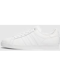 adidas originals court star