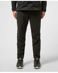 lacoste track bottoms