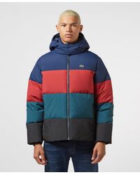lacoste jacket sale uk