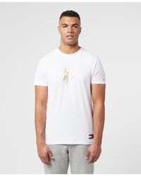 Tommy Hilfiger T-shirts for Men 