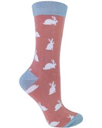 Miss Sparrow - Novelty Animal Soft Bamboo Breathable Socks - Lyst