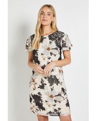 Wallis - Petite Lace Ruffle Sleeve Shift Dress - Lyst