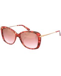 Longchamp - Lo616S Butterfly Shaped Acetate Sunglasses - Lyst