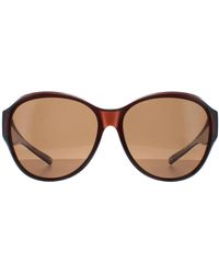 Smarty - Rond Transparant Bruin Ef Bruin X2115 - Lyst