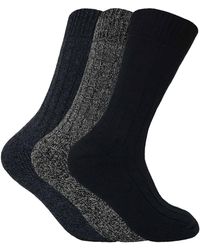 Sock Snob - 3 Pairs Cushioned Sole Wool Blend Walking Hiking Socks For Boots - Lyst