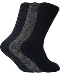 Sock Snob - 3 Pairs Cushioned Sole Wool Blend Walking Hiking Socks For Boots - Lyst