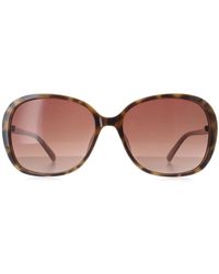 Ted Baker - Tb1603 Rios 121 Tortoise Roze Zonnebril - Lyst