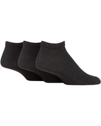 SOCKSHOP TORE - 3 Pack Plain Sports Trainer Socks - Lyst