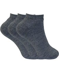 Sock Snob - 3 Pairs Ladies Cushioned Coloured Low Cut Ankle Thermal Trainer Socks - Lyst