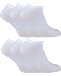 Sock Snob - Sock Snob Womens - Lyst