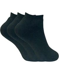 Sock Snob - 3 Pairs Ladies Cushioned Coloured Low Cut Ankle Thermal Trainer Socks - Lyst
