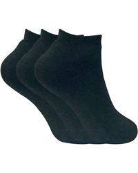 Sock Snob - 3 Pairs Ladies Cushioned Coloured Low Cut Ankle Thermal Trainer Socks - Lyst
