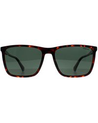 Polaroid - Pld 4180/S 086 Uc Havanna Grã¼N Polarisierte Sonnenbrille - Lyst