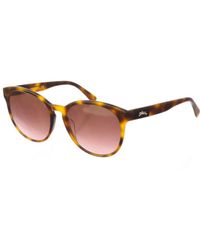 Longchamp - Lo656S Oval Shaped Acetate Sunglasses - Lyst