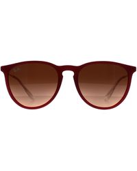 Ray-Ban - Rb4171 Erika 6815a5 Gepolijst Rubber Violet Roze Gradiënt Bruin Zonnebril - Lyst