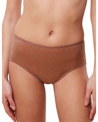 Triumph - Signature Sheer Maxi Brief - Lyst