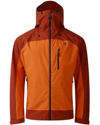 Dare 2b - Torrek Iii Padded Jacket (Arabian Spice/Burnt) - Lyst