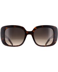 BOSS - Butterfly Havana Gradient 1791/G/S - Lyst