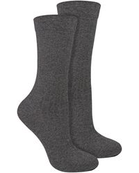 Steve Madden - 2 Pairs Ladies Organic Cotton Camel Wool Socks - Lyst