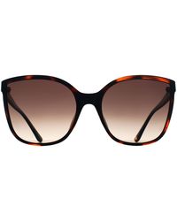 Guess - Cat Eye Dark Havana Gradient Gu00144 - Lyst