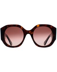 Chloé - Chloé Round Dark Havana Gradient Ch0234S - Lyst