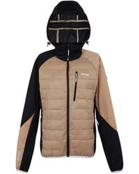 Regatta - Ladies Andreson Pro Hybrid Jacket (Warm/ - Lyst
