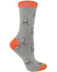 Miss Sparrow - 1 Pack Ladies Novelty Animal Patterned Bamboo Socks - Lyst