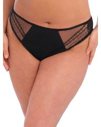 Elomi - Matilda Thong Star Polyamide - Lyst