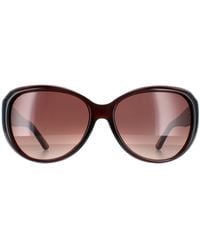 Ted Baker - Oval Gradient Tb1290 Avignon - Lyst