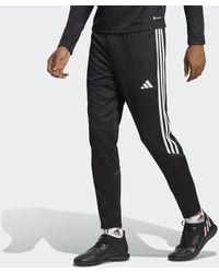 adidas Originals - Tiro 23 Club Training Pants - Lyst