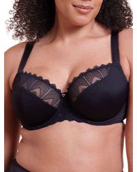 Curvy Kate - Wild One Balcony Bra - Lyst