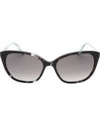 Banana Republic - Sf Polarized Lens Havana Style Sunglasses - Lyst