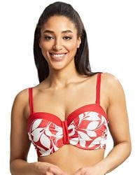 Panache - Oasis Moulded Bandeau Bikini Top - Lyst