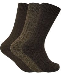 Sock Snob - 3 Pairs Cushioned Sole Wool Blend Walking Hiking Socks For Boots - Lyst