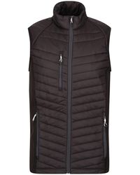 Regatta - Navigate Quilted Hybrid Gilet /Seal) - Lyst
