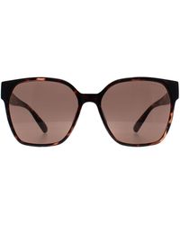 Radley - Square Havana Rds-6528-102 - Lyst
