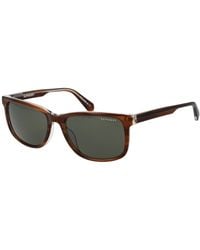 Superdry - Sunglasses Sds 5029 101 56 - Lyst