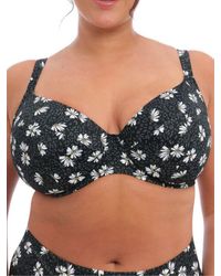 Elomi - Plain Sailing Plunge Bikini Top - Lyst