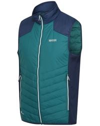 Regatta - Halton Body Warmer Gilet - Lyst