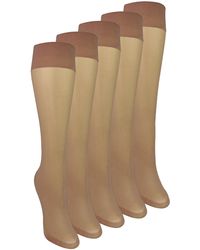 Sock Snob - 5 Pack Ladies Knee High Pop Socks 15 Denier Lightweight Sheer - Lyst