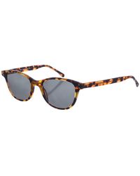 Zen - Z473 Square Shaped Acetate Sunglasses - Lyst
