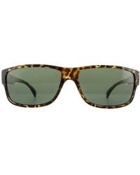 Timberland - Rectangle Dark Havana Sunglasses - Lyst